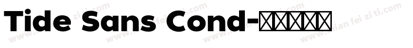 Tide Sans Cond字体转换